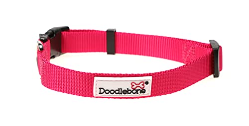 Doodlebone Dog Collar, Fuchsia, 1-2