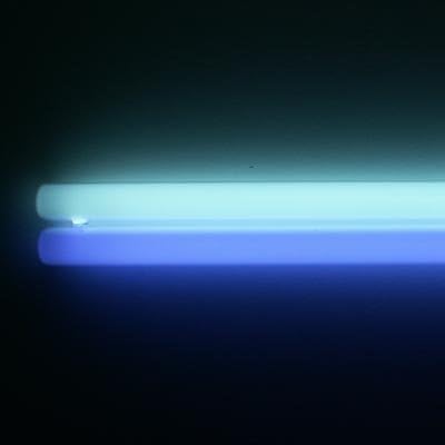 13 Watt 10000K White/Actinic 420Nm 50/50