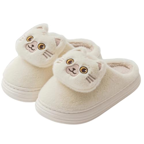 [UZCX] Xbp   l 킢 [V[Y fB[X Y ~ ۉ 25.0 cm ~ L  ƕt {A fUC06 Aj}