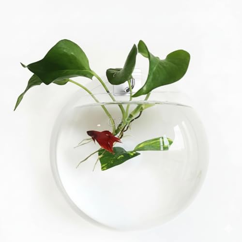 Image of CAS 1L to 14L Glass Fish Bowl 9 INCH,(3 Litre Acrylic) Wall Hanging Fish Bowl