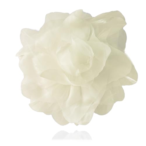 10C` ֒ꂽ傫ȃỏԂ̃u[`ƃs iȑ傫ȃI[KUTen t[u[`s y t@bV  hX ANZT[ WG[ v ʕ p, M, , ΂Ȃ