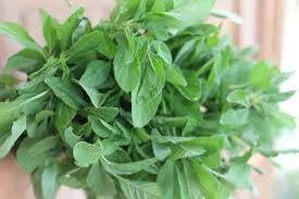 CooPany® SIRU KEERAI/TROPICAL AMARANTH SEEDS 1000 SEEDS