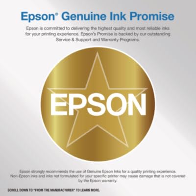 Epson Cartouche d'encre Noire légère T 606 220 ML T 6067