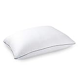 [page_title]-Hobein Kopfkissen 40x70 cm - Kühl im Sommer, Warm im Winter Kissen, Schlafkissen, Nackenkissen, Kissen aus Tencel, Bequmer Weicher und Atmungsaktiver Kissen