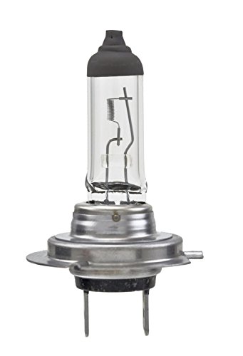 Hella H7Ll Long Life Bulb, 12V, 55W #TOP2