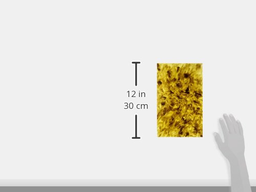 Amazon | TOR-TIS(トーティス)ピックガード シート 30's VINTAGE(30's