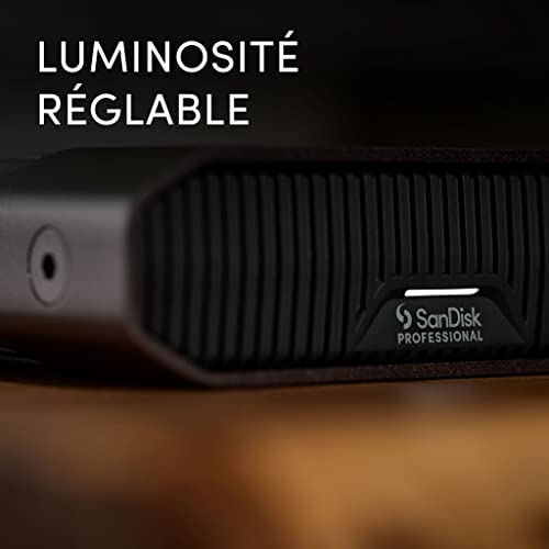 SanDisk Professional G Drive 22 To - vue 9