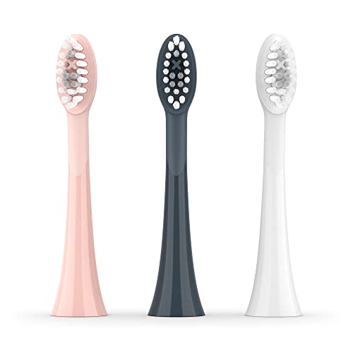 Têtes brosse à dents électrique sonique Ordo élimination plaque