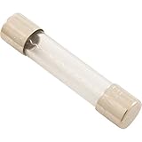 Fuse, 6A, AutoPilot Chlorinator