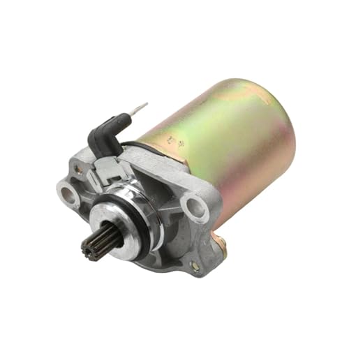 Démarreur électrique 11 dents 50cc 2T pour scooter Runner SP, Typhoon et Stalker
