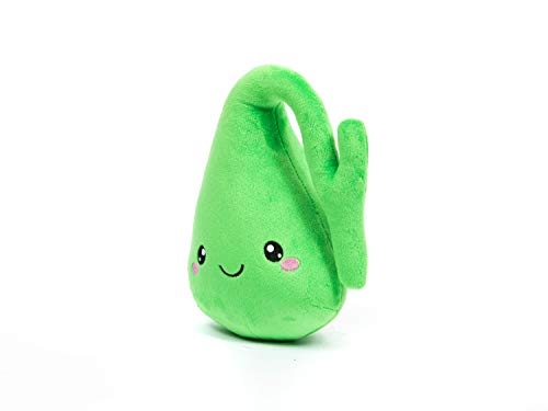 Nerdbugs Gallbladder Plush- Who You Gonna Gall? Stone Busters! -Gallbladder Removal Stuffed (Plush) Organ Toy/ Get Well Gift/ Gi Surgery Health Education Toy/Gift For Med Students, Nurses, Doctors #TOP6