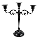 Viscacha 3-Candle Metal Candelabra,Black