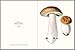 Mushrooms: An Abbeville Notecard Set