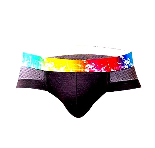 Multicolor Pride Brief Men Underwear for Men Pride Sexy Orgullo Multicolor (Small, Black)
