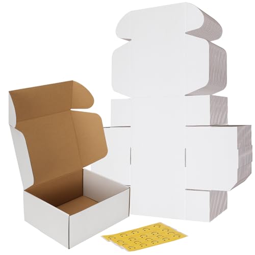 RLAVBL Scatola Cartone, Scatola per Spedizione,25.4x20.3x5cm, Scatola di Cartone Ondulate per Trasloco e Imballagio 20 Pezzi, Bianca