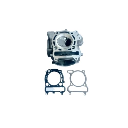 Culasse avec arbre à cames pour quad Li250 Li260 Li300 - 3