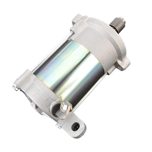 Motor de arranque para reparar fallos de encendido en Skandic Tundra 1
