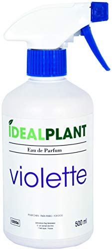 IdéalPlant Parfum Violette pour Chien 500 ML Cover