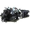 DAYTONA Anima 190cc Engine Model (FS5) - Black
