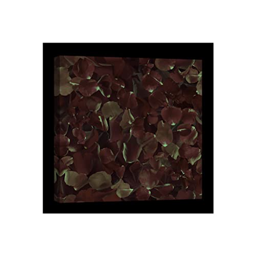 Toile canvas fleurs DCF006-1 lumineuse dans le noir 80x80 cm - 2