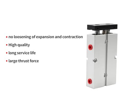 Vérin pneumatique double tige TN32 anti-rotation pour alignement précis