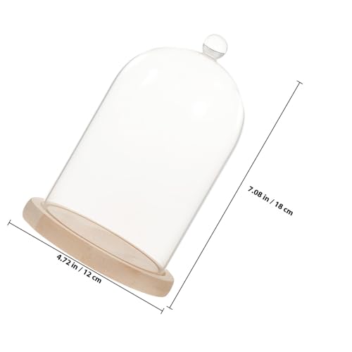 Cúpula de vidrio para centros de mesa con base de madera Happyyami transparente 3