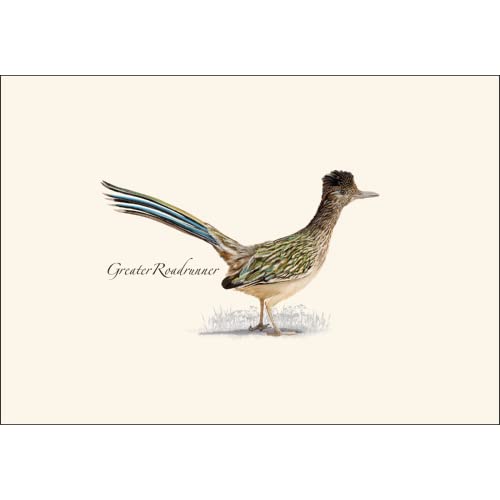 Image of Earth Sky + Water - Roadrunner Notecard Set - 8 Blank Cards with Envelopes