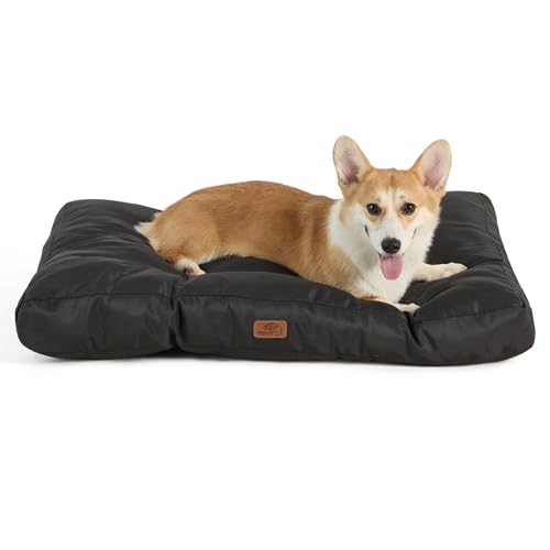 BEDSURE Hundekissen kleine Hunde waschbar - 76x50cm Hundebett M für kleine, mittelgroße Hunde gepolstert Hundematte tiefschwarz in 10cm Höhe