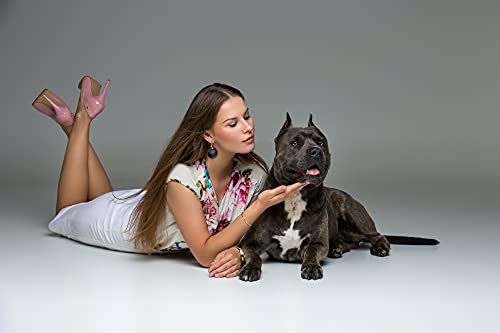 IDB Natural Gemstone Colorful Unity Dangling Earrings - Perfect for Complete and Eternal Love - Approx 2 inchDiameter3