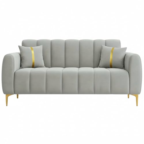 Image of FURNY Harmony 2 Seater Velvet Fabric Sofa Set (Light Grey) with Golden Finish Legs Durable & Comfortable Ideal for Living Room