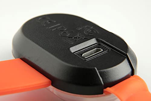 Image of Max & Molly USB Rechargeable LED Dog Collar Light - Waterproof Safety Light for Night Walks, Hiking, Running, Biking