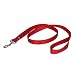 PetSafe Nylon Leash, 1" x 4', Red
