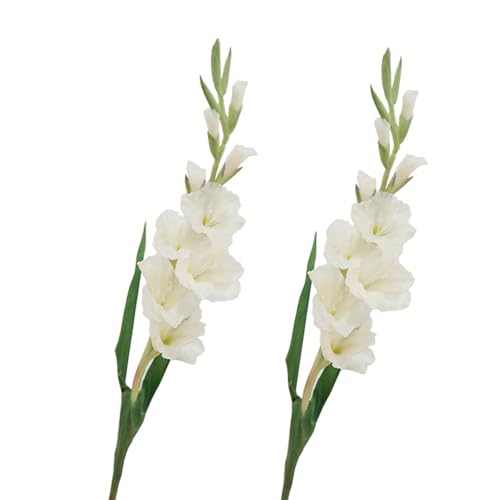 BQEE Lot de 2 fleurs de glaïeul artificielles à longue tige pour décoration de maison/mariage/bureau (blanc)