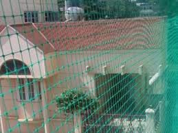 Animal net with Strong Nylon Strings 4 MM String Size,Heavy Green Ad Blue Colour in Color (10 Foot x 50 Foot) 500sq ft Multipurpose Etc