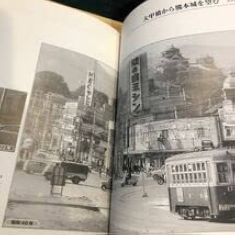 南河内今昔写真帖 保存版 南河内今昔写真帖 保存版 南河内今昔写真帖: 保存版 | 椋本進 |