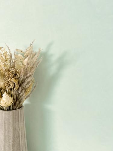 Newroom Papier peint Vert Couleur Unie Intissé - Couleurs Unies Menthe Vert Clair Texture Texture Moderne