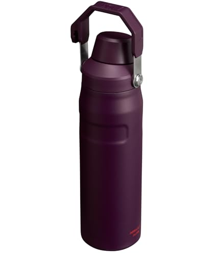 Image of Stanley IceFlow Fast Flow Water Bottle | Angled Spout Lid | Lightweight & Leakproof for Travel & Sports | Insulated Stainless Steel | BPA-Free
