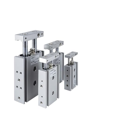 Vérin pneumatique double tige CXSM anti-rotation pour stopper le jeu