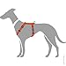 Hunter Hundegeschirr London Vario Rapid, 4-Fach verstellbares Y-Geschirr für kleine & mittlere Hunde, Sicherheitsverschluss mit Verriegelung, Farbe: orange, Größe: S