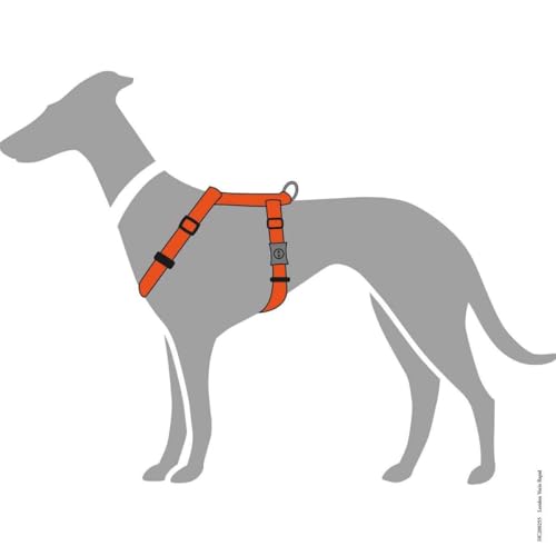 Hunter Hundegeschirr London Vario Rapid, 4-Fach verstellbares Y-Geschirr für kleine & mittlere Hunde, Sicherheitsverschluss mit Verriegelung, Farbe: orange, Größe: XXS-XS