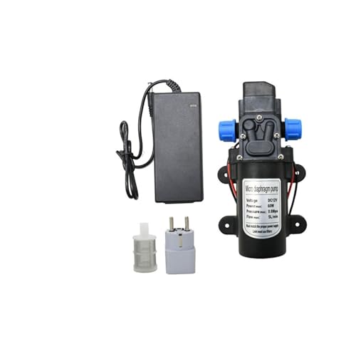 Pompe à eau 12V pour irrigation de jardin et entretien automobile