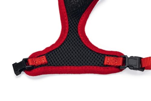 Karlie Kätzchengeschirr und -leine Harms L: 110 cm B: 10 mm Ha um: 25 - 38 cm S schwarz-rot