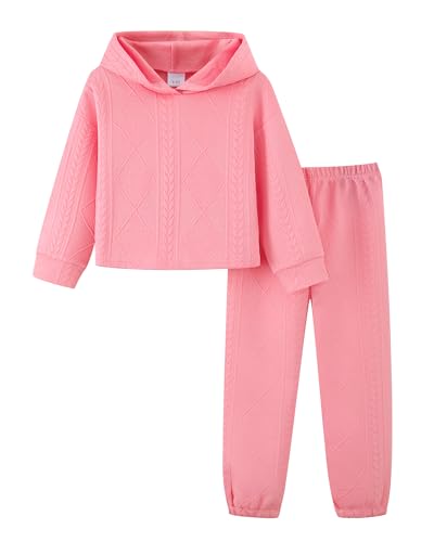 Mioglrie Girls Clothes 4T 5T Kids Clothes Size 6 7 8 Little Girl Fall Winter Outfits Hoodies Pants Girls' Clothing Sets