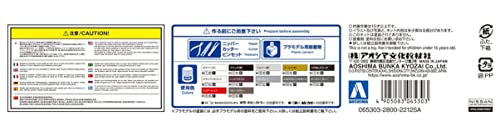 Aoshima 1/24 Nissan Fabless APE50 Elgrand 2000 plástico miniatura 7