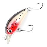 Major Fish