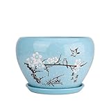 Jardinière en porcelaine avec soucoupe : la jardinière est livrée avec un plateau, peut être placée à n'importe quel endroit, comme un bureau, un bureau, une armoire, etc., pots de fleurs en céramique for l'extérieur