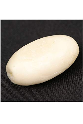 Egg Bead, Bone, 2 Pack