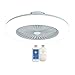 BEHWU Ventilador De Techo Con Iluminación Ventilador De Techo LED Ventilador De Luz Velocidad Del Viento Ajustable Control Remoto Ajustable, 40W LED Luz De Techo,Φ55 × H20CM (Color : White)