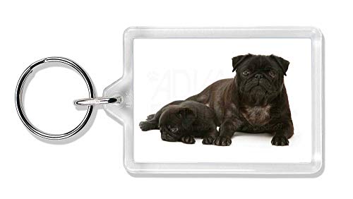 Preisvergleich Produktbild Advanta - Keyrings Mops Hund und Welpen Foto Schlüsselbund TierstrumpffüllerGeschenk