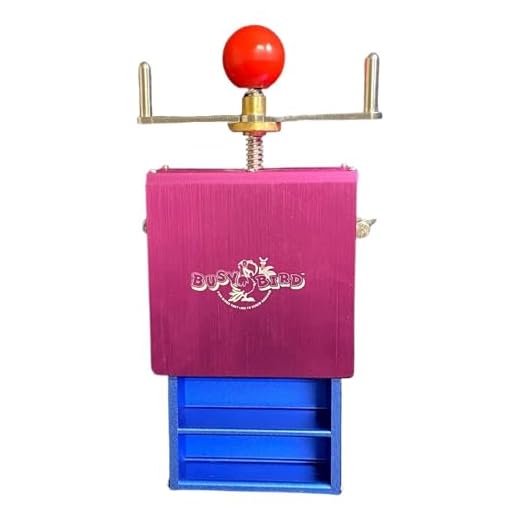 Interactive Foraging Bird Toy for Large Birds